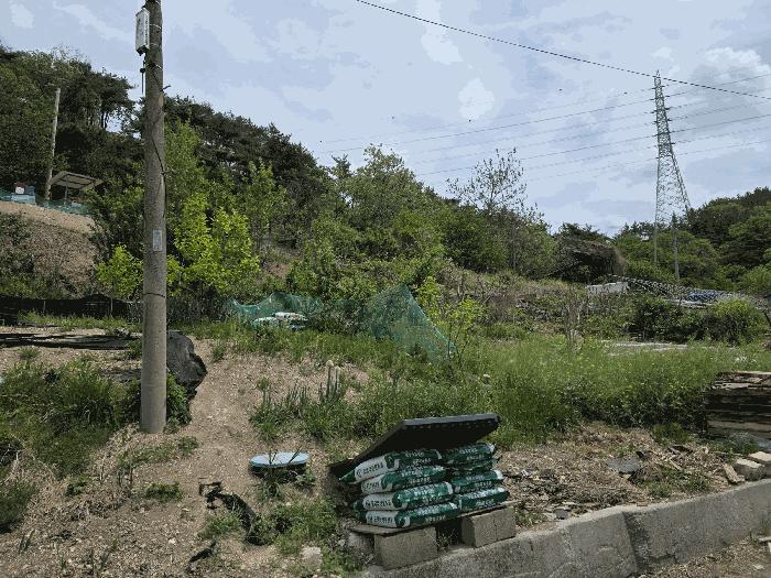 경상북도 포항시 북구 흥해읍 남송리 산206-4 임야 경매 사진 24
