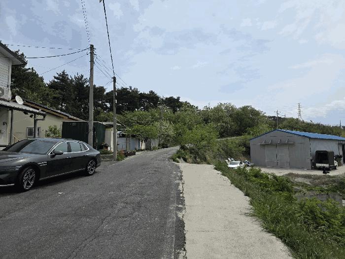 경상북도 포항시 북구 흥해읍 남송리 산206-4 임야 경매 사진 6