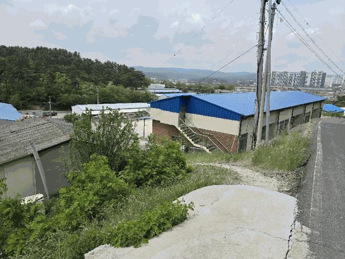 경상북도 포항시 북구 흥해읍 남송리 산206-4 임야 경매 사진 9