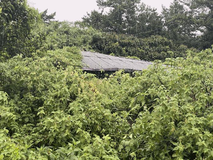 전라남도 신안군 안좌면 소곡리 471-1 전 경매 사진 3