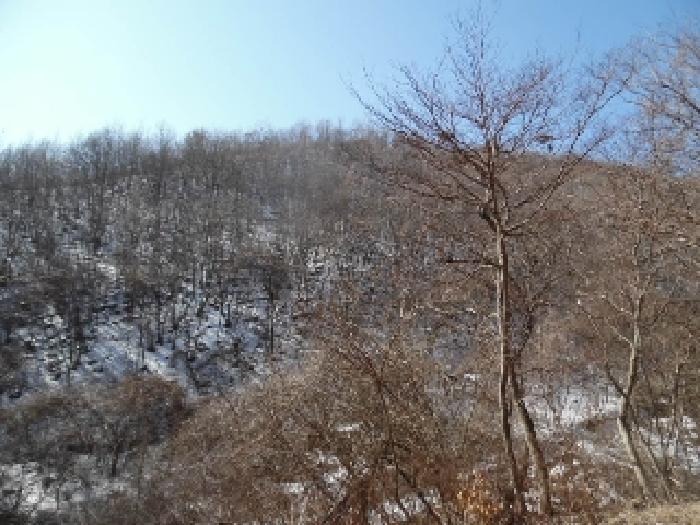 전북특별자치도 진안군 성수면 용포리 산58 임야 경매 사진 13