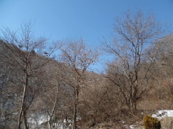 전북특별자치도 진안군 성수면 용포리 산58 임야 경매 사진 17