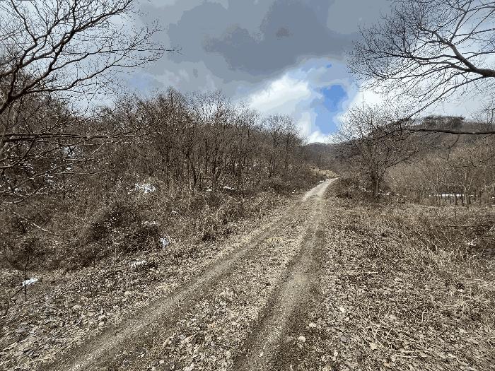 전북특별자치도 진안군 성수면 용포리 산58 임야 경매 사진 2