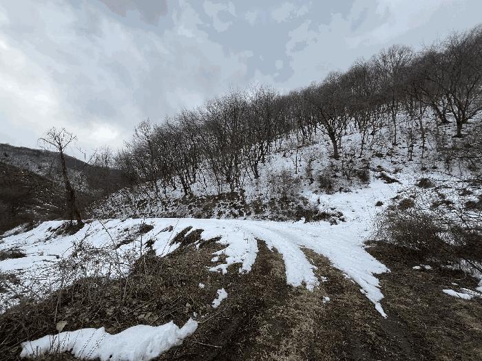 전북특별자치도 진안군 성수면 용포리 산58 임야 경매 사진 3