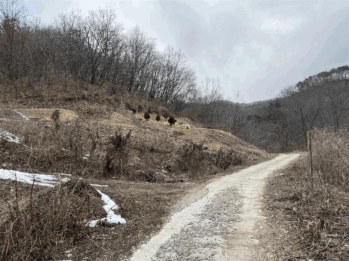 전북특별자치도 진안군 성수면 용포리 산58 임야 경매 사진 8