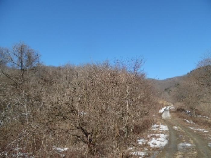 전북특별자치도 진안군 성수면 용포리 산58 임야 경매 사진 9