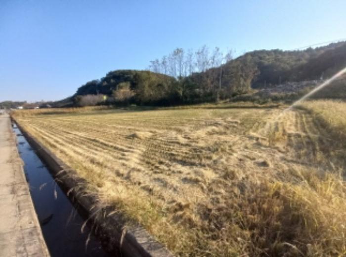 경상남도 진주시 사봉면 사곡리 1246-2 전 경매 사진 13