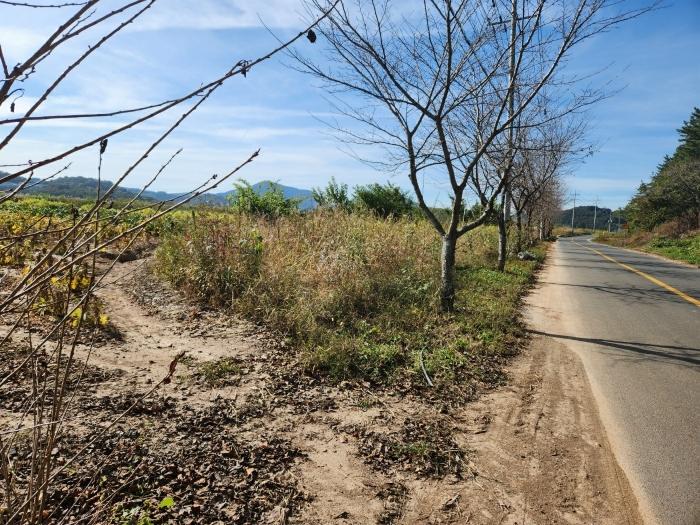 경상남도 진주시 사봉면 부계리 661 전 경매 사진 2