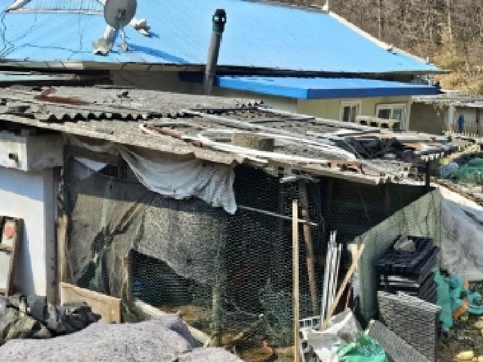 경상북도 영주시 장수면 갈산리 454 답 경매 사진 37