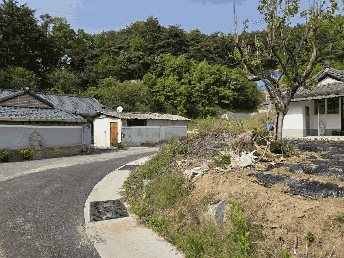 경상북도 영주시 장수면 갈산리 454 답 경매 사진 7