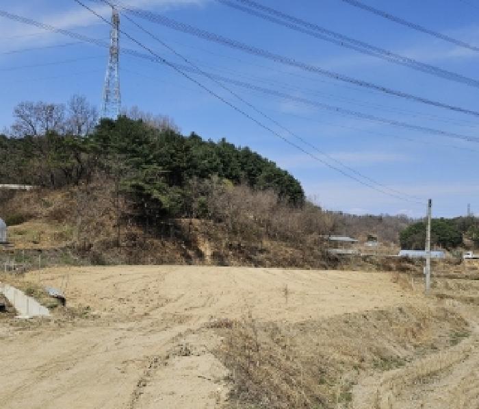 경상북도 영주시 장수면 갈산리 557-1 답 경매 사진 41