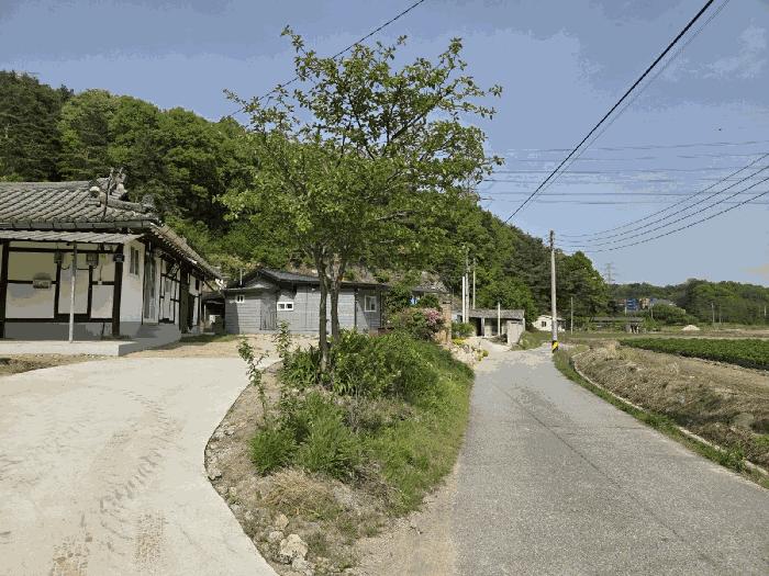 경상북도 영주시 장수면 갈산리 586 전 경매 사진 4