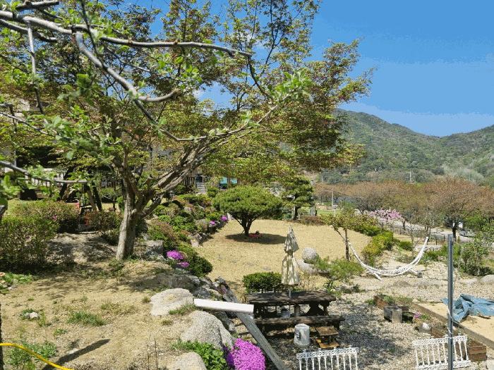 경상북도 영주시 풍기읍 욱금리 145 전 경매 사진 1