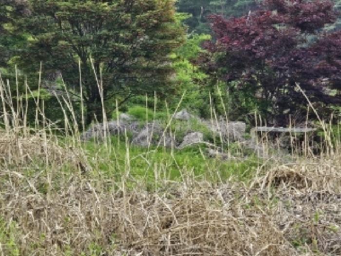 경상북도 영주시 풍기읍 욱금리 145 전 경매 사진 10
