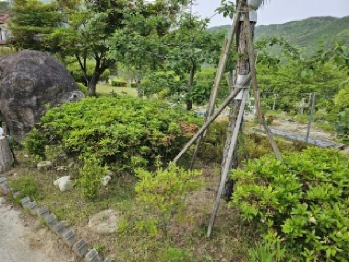경상북도 영주시 풍기읍 욱금리 145 전 경매 사진 12