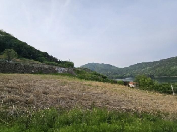 경상북도 영주시 풍기읍 욱금리 145 전 경매 사진 13