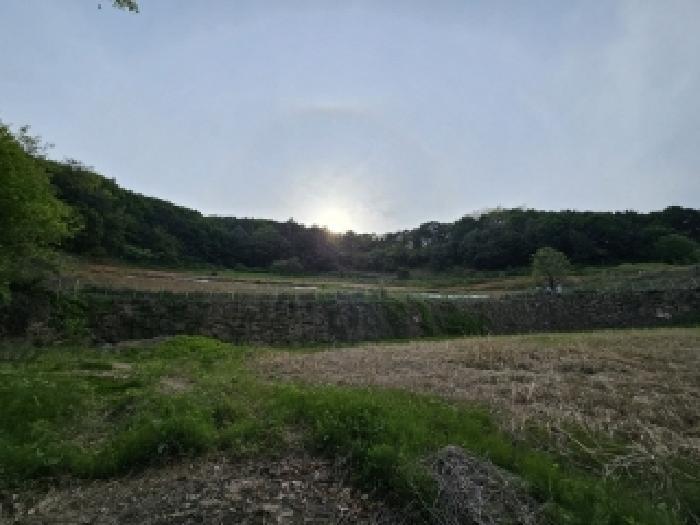 경상북도 영주시 풍기읍 욱금리 145 전 경매 사진 14