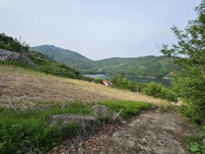 경상북도 영주시 풍기읍 욱금리 145 전 경매 사진 17