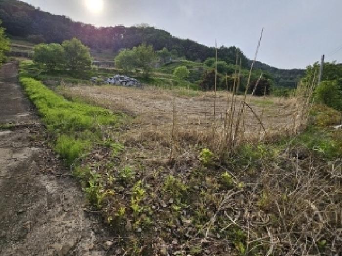 경상북도 영주시 풍기읍 욱금리 145 전 경매 사진 18