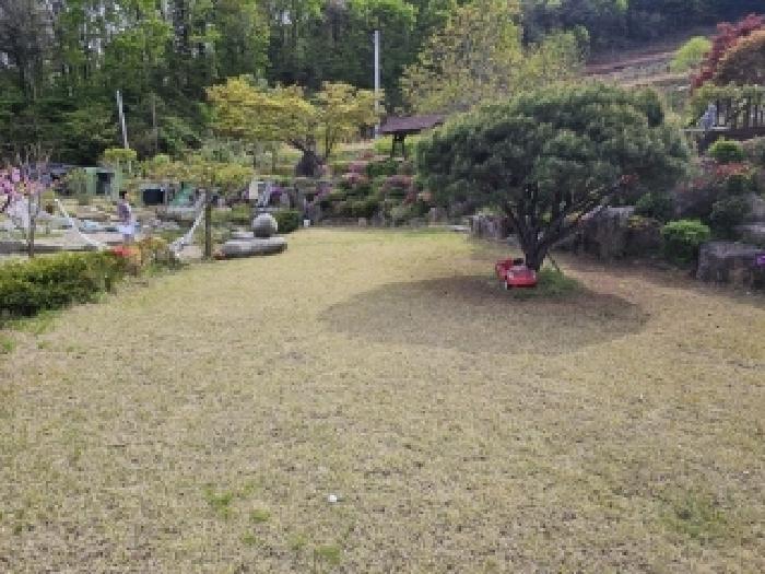 경상북도 영주시 풍기읍 욱금리 145 전 경매 사진 19