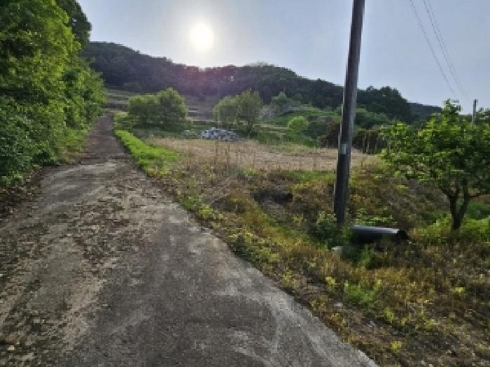 경상북도 영주시 풍기읍 욱금리 145 전 경매 사진 20