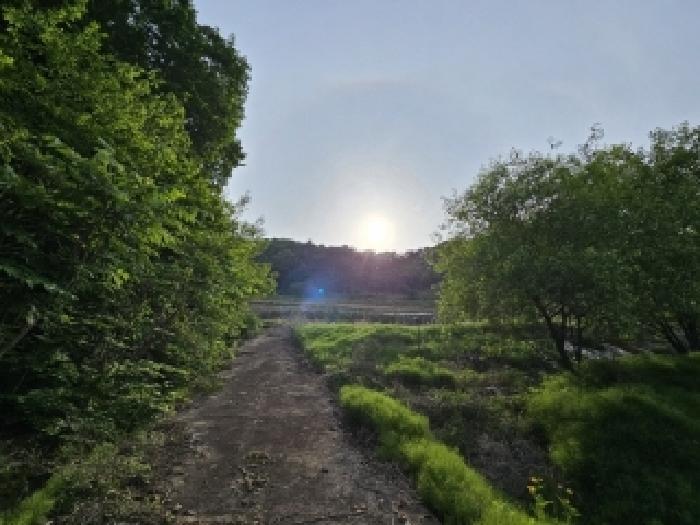 경상북도 영주시 풍기읍 욱금리 145 전 경매 사진 21