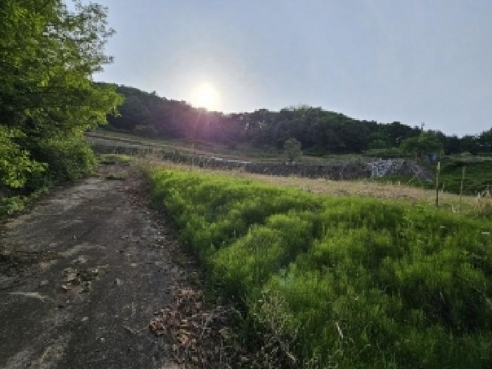 경상북도 영주시 풍기읍 욱금리 145 전 경매 사진 22