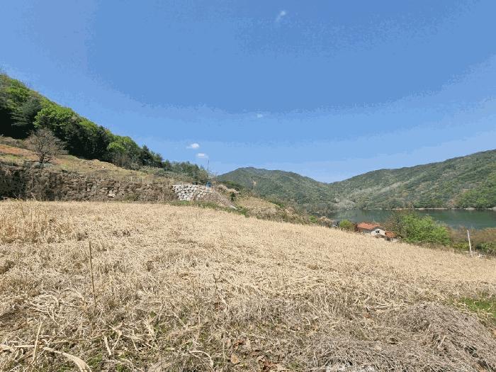 경상북도 영주시 풍기읍 욱금리 145 전 경매 사진 3