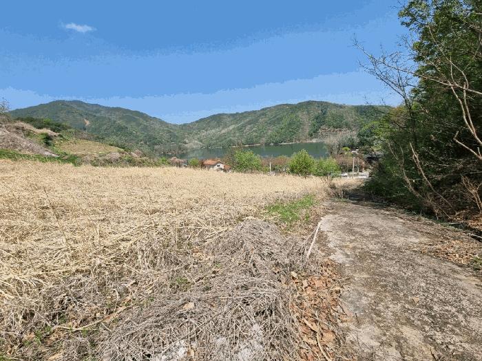 경상북도 영주시 풍기읍 욱금리 145 전 경매 사진 8