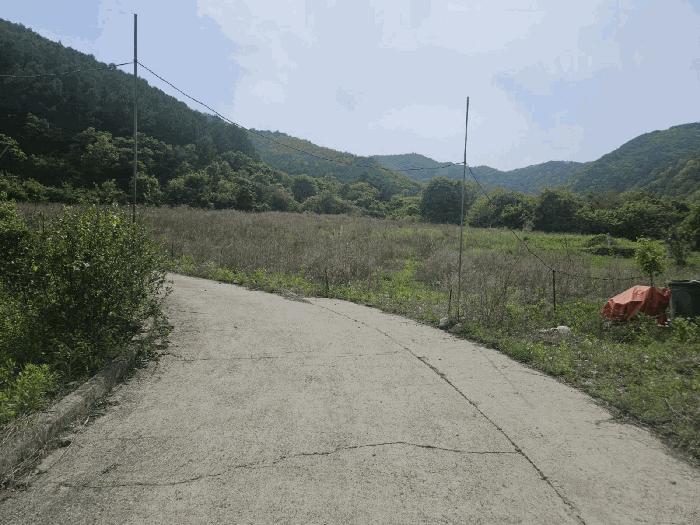 경상북도 봉화군 명호면 풍호리 665 전 경매 사진 4