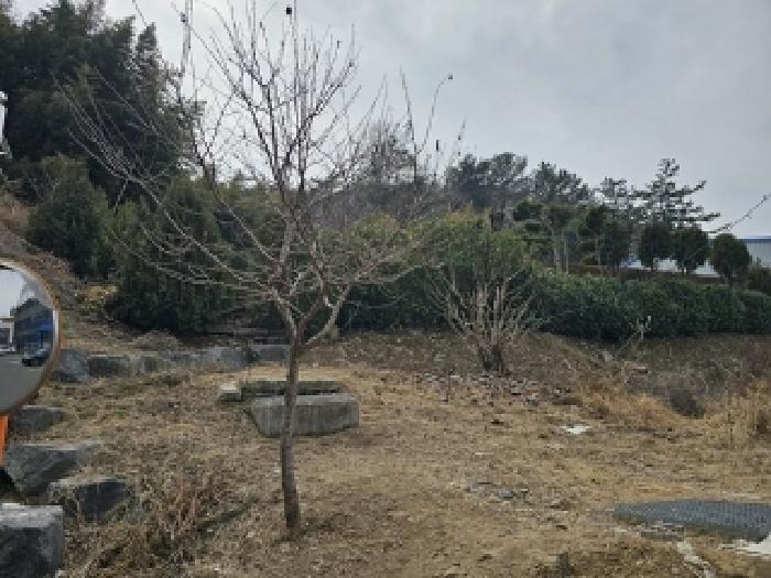 경상남도 진주시 명석면 우수리 148-2 병원 경매 사진 30
