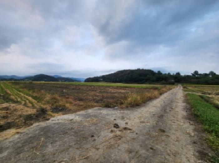 전라남도 순천시 별량면 학산리 152-11 답 경매 사진 5