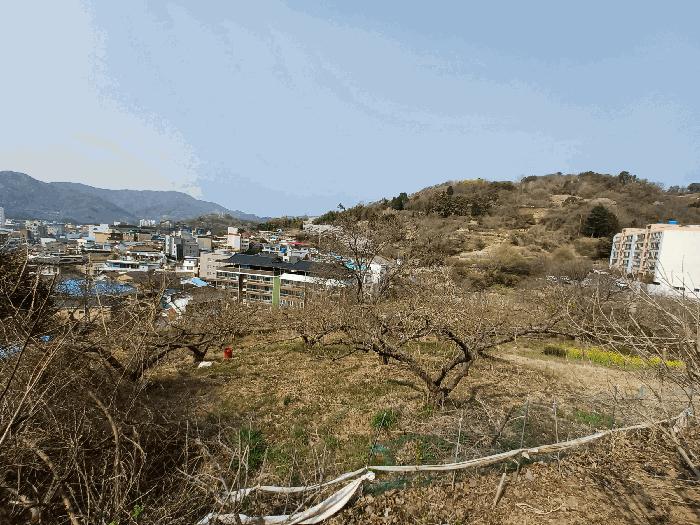 경상남도 하동군 하동읍 비파리 601-2 근린주택 경매 사진 2