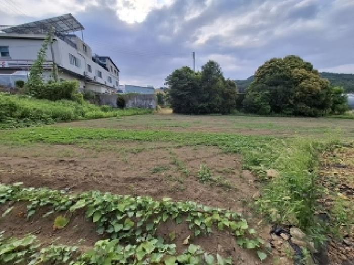 경상남도 남해군 이동면 초음리 1526 대지 경매 사진 5