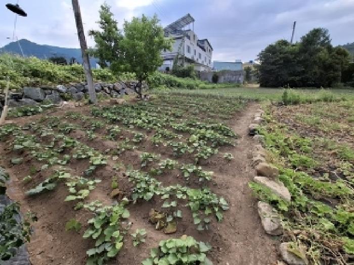 경상남도 남해군 이동면 초음리 1526 대지 경매 사진 6