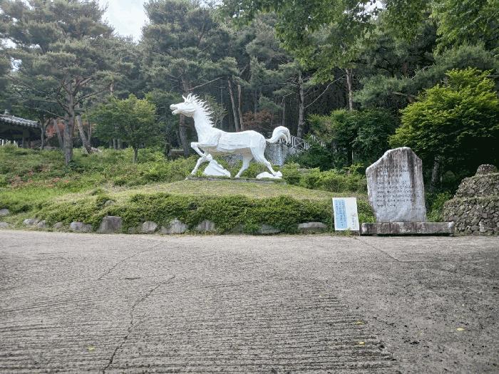 경상남도 산청군 단성면 방목리 산100 근린주택 경매 사진 26