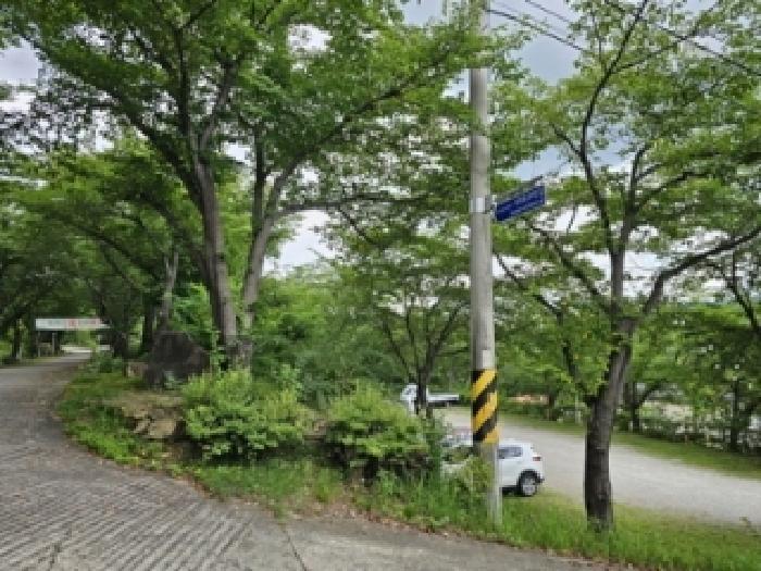 경상남도 산청군 단성면 방목리 산100 근린주택 경매 사진 40
