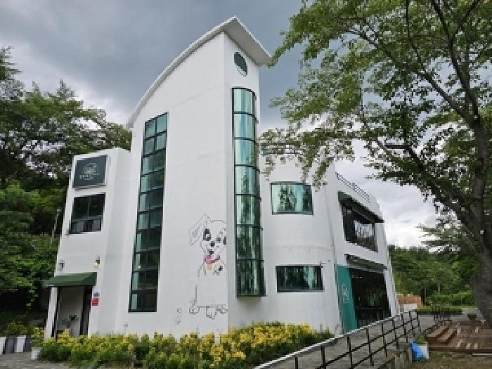 경상남도 산청군 단성면 방목리 산100 근린주택 경매 사진 51