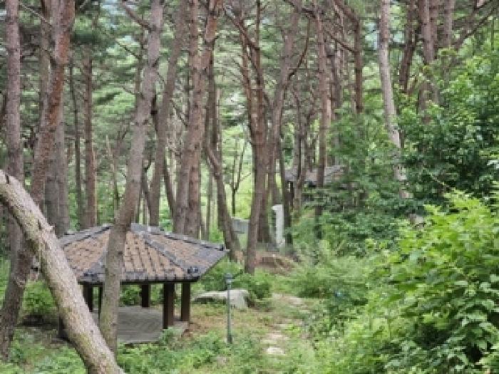 경상남도 산청군 단성면 방목리 산100 근린주택 경매 사진 74