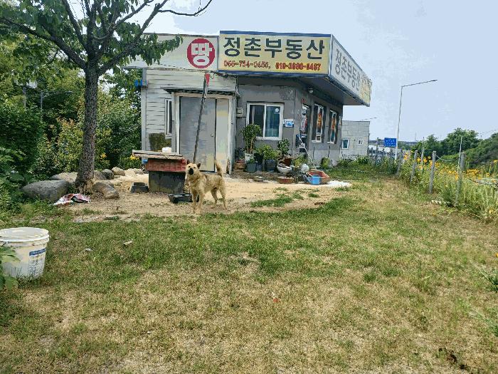 경상남도 진주시 정촌면 화개리 1754-52 상가 경매 사진 6