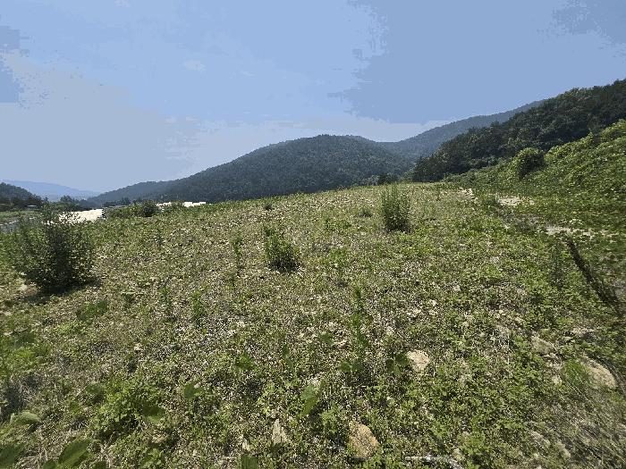 경상남도 사천시 과수원