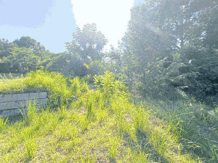 경상남도 사천시 사등동 258 임야 경매 사진 4