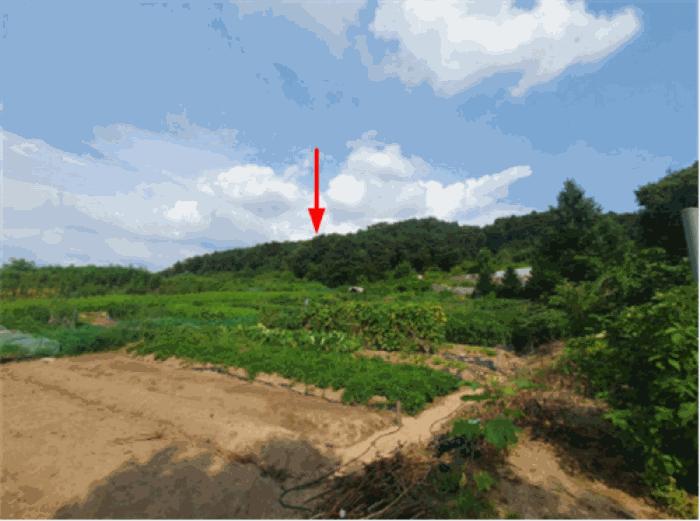 경기도 양주시 산북동 산9-5 임야 경매 사진 3