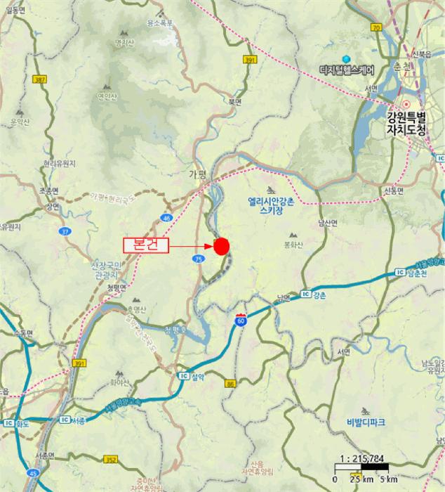 경기도 가평군 가평읍 금대리 302-1 근린시설 경매 사진 41