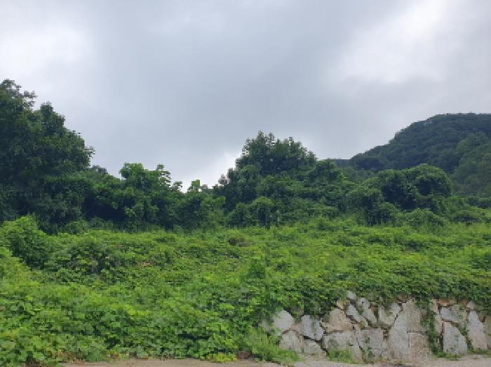 경기 가평군 임야