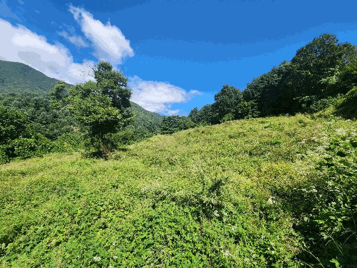 경기도 가평군 북면 제령리 378-1 전 경매 사진 2
