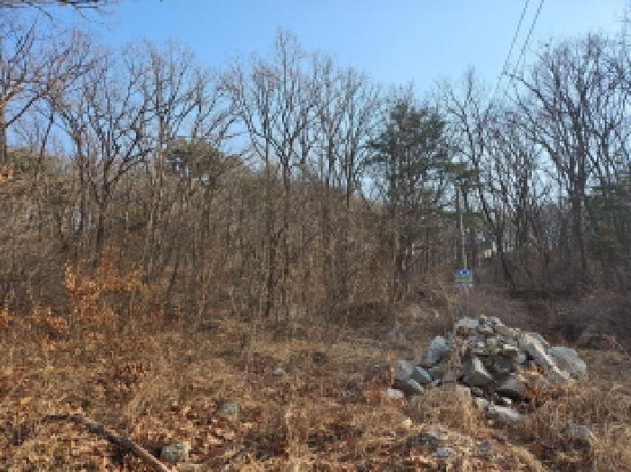 인천광역시 강화군 양사면 교산리 산343-2 임야 경매 사진 14