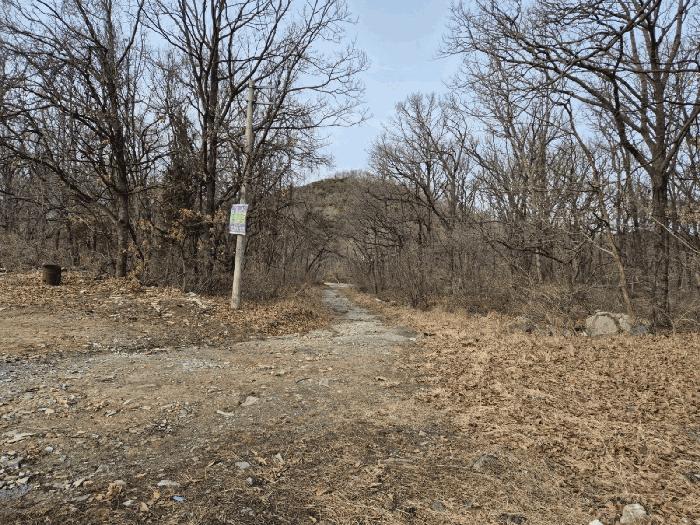 인천광역시 강화군 양사면 교산리 산343-2 임야 경매 사진 5