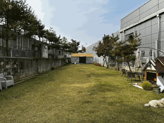 경기도 파주시 교하동 486 근린주택 경매 사진 2