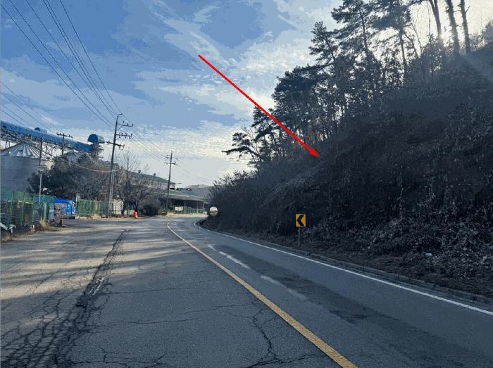 경기도 파주시 파주읍 봉암리 산124-5 임야 경매 사진 4